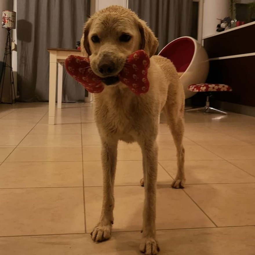 Μιχαλοπούλου Κουτσόπουλος σπίτι