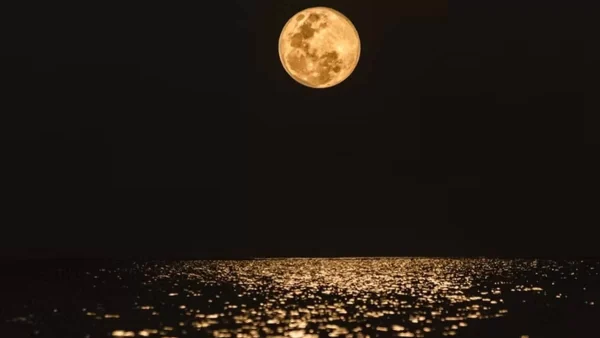 Η Νέα Σελήνη στην Παρθένο ανάβει φωτιές - Η Magic F'Ariel προειδοποιεί τα ζώδια