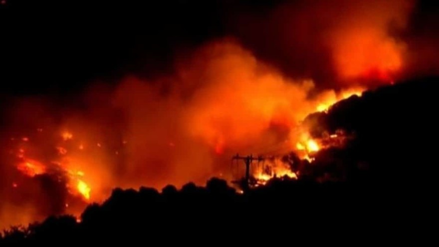 Φωτιά τώρα στην Βοιωτία