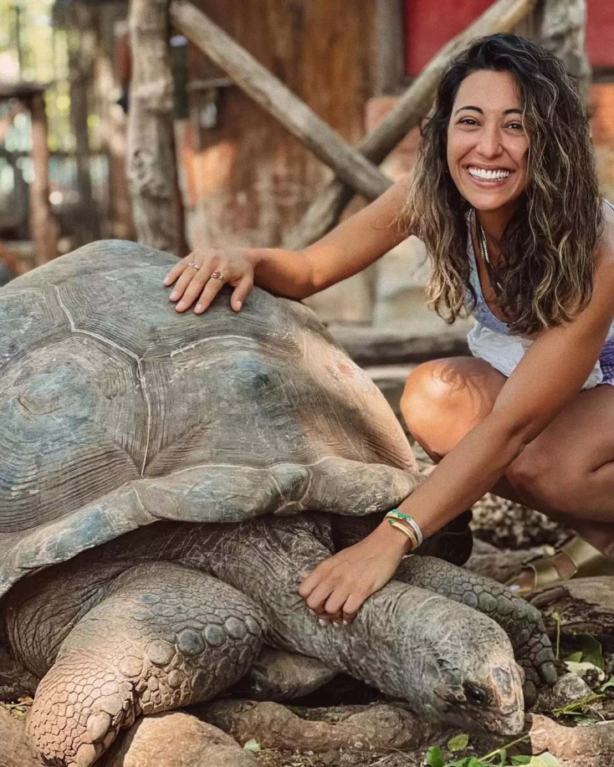 Ευγενία Σαμαρά - χελώνα