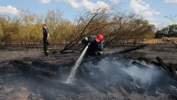 Επιμένει η φωτιά στη Θάσο