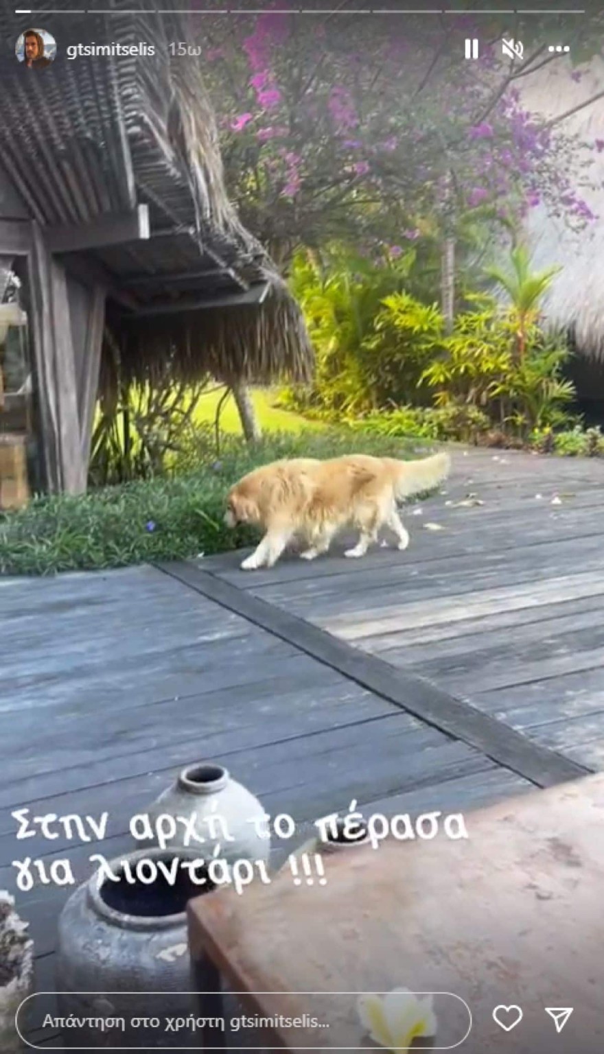 Γιάννης Τσιμιτσέλης - Κατερίνα Γερονικολού - διακοπές