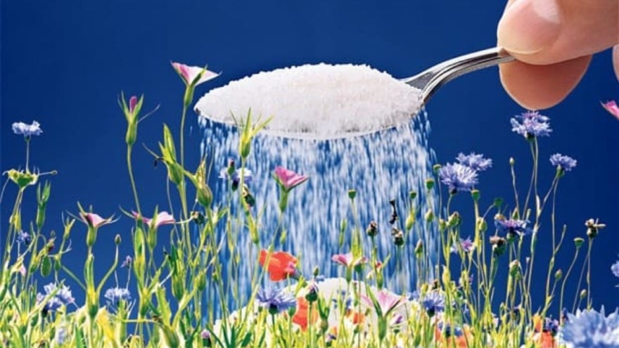 Πασπάλισε στα φυτά σου λίγη ζάχαρη