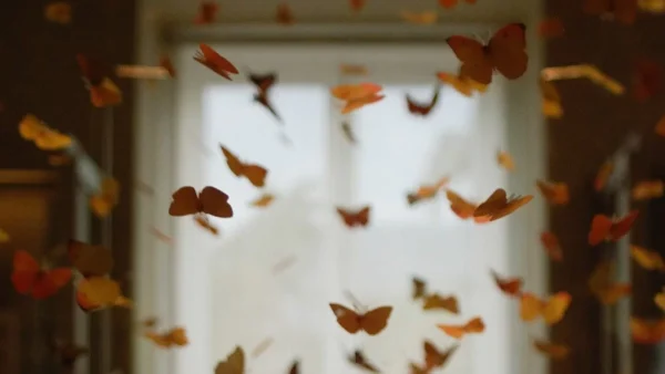 Η Αφροδίτη του Αυγούστου: Προσοχή! Από 11/8 σε Καρκίνους και...