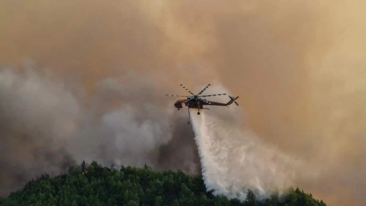 Φωτιά στη Φυλή Αττικής