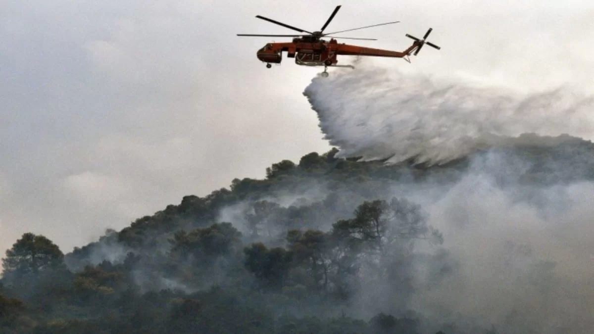 Φωτιά στην Αφροξυλιά Ναυπακτίας