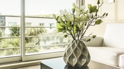 Είναι ανθεκτικά και ιδανικά για το Φθινόπωρο - Τα 5 φυτά που φέρνουν τύχη και πρέπει να έχεις στο μπαλκόνι σου