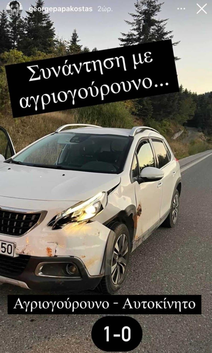 Γιώργος Παπακώστας τροχαίο αγριογούρουνο