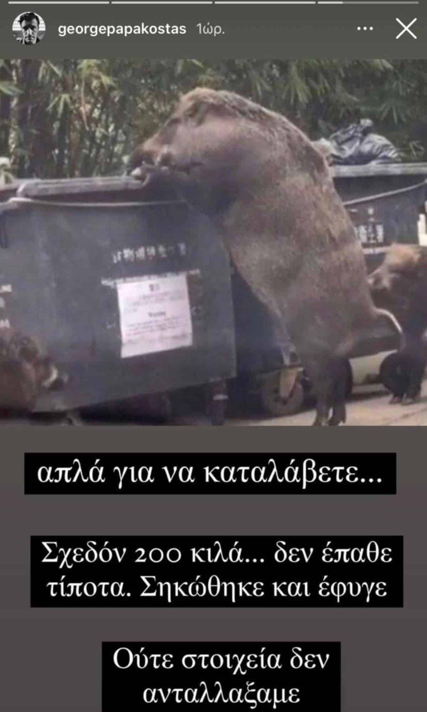 Γιώργος Παπακώστας τρακάρισμα αγριογούρουνο