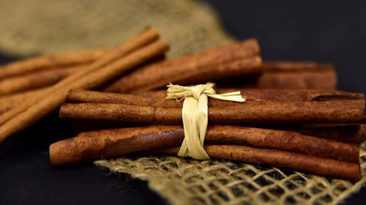 Θεραπεύει μια ζόρικη ασθένεια - Το μυστικό με την κανέλα που λίγοι γνωρίζουν