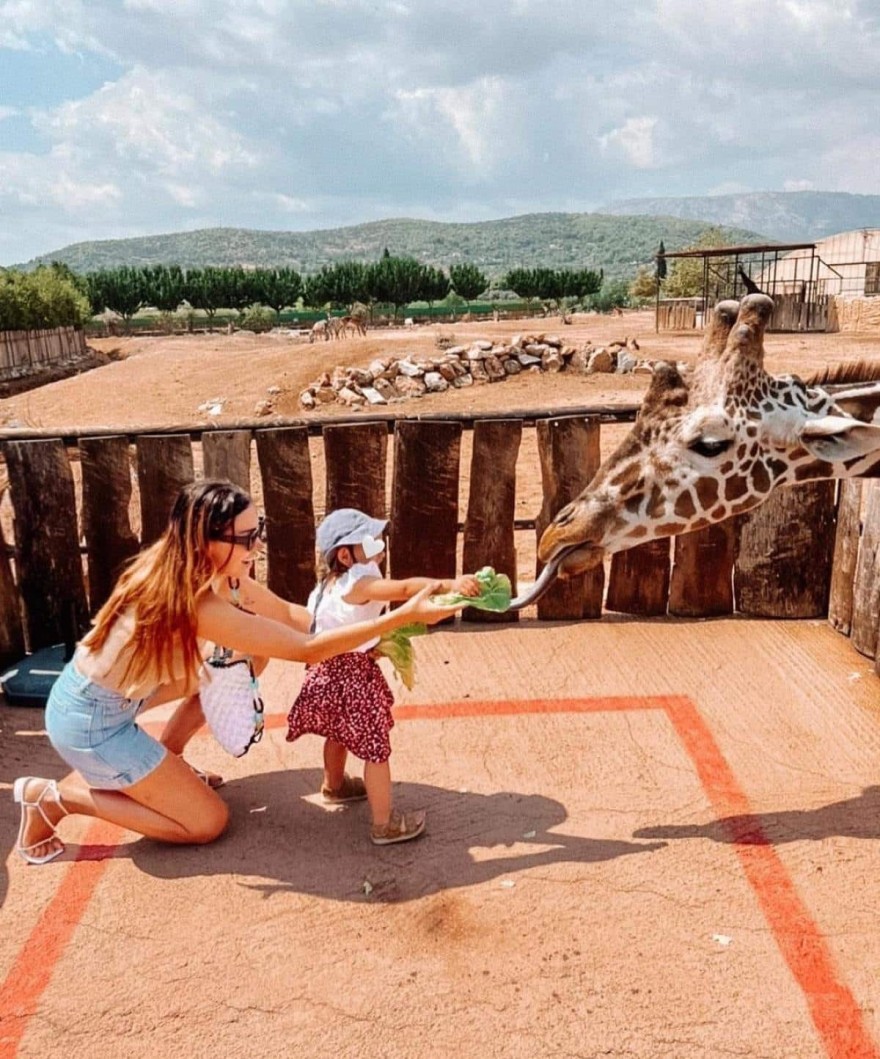 Όλγα Φαρμάκη