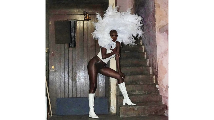 Φτερά και πούπουλα