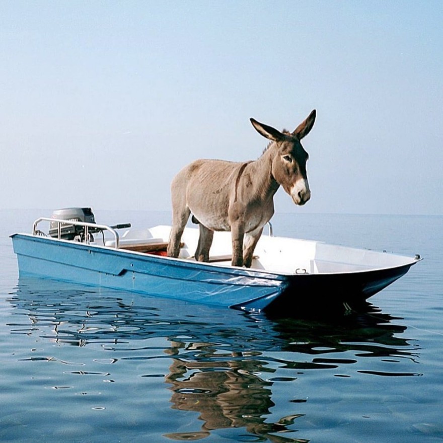 Σμαράγδα Καρύδη ανάρτηση