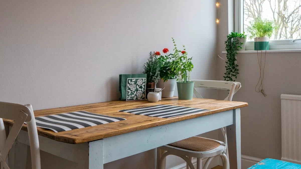 Ένα από αυτά μπορεί να τα έχεις στο σπίτι - Τα 6 φυτά που φέρνουν μόνο κακοτυχία και κλάματα στη ζωή