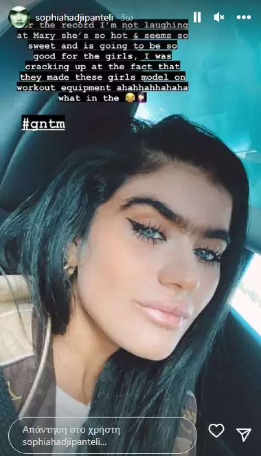 Ανάρτηση της Σοφίας Χατζηπαντελή