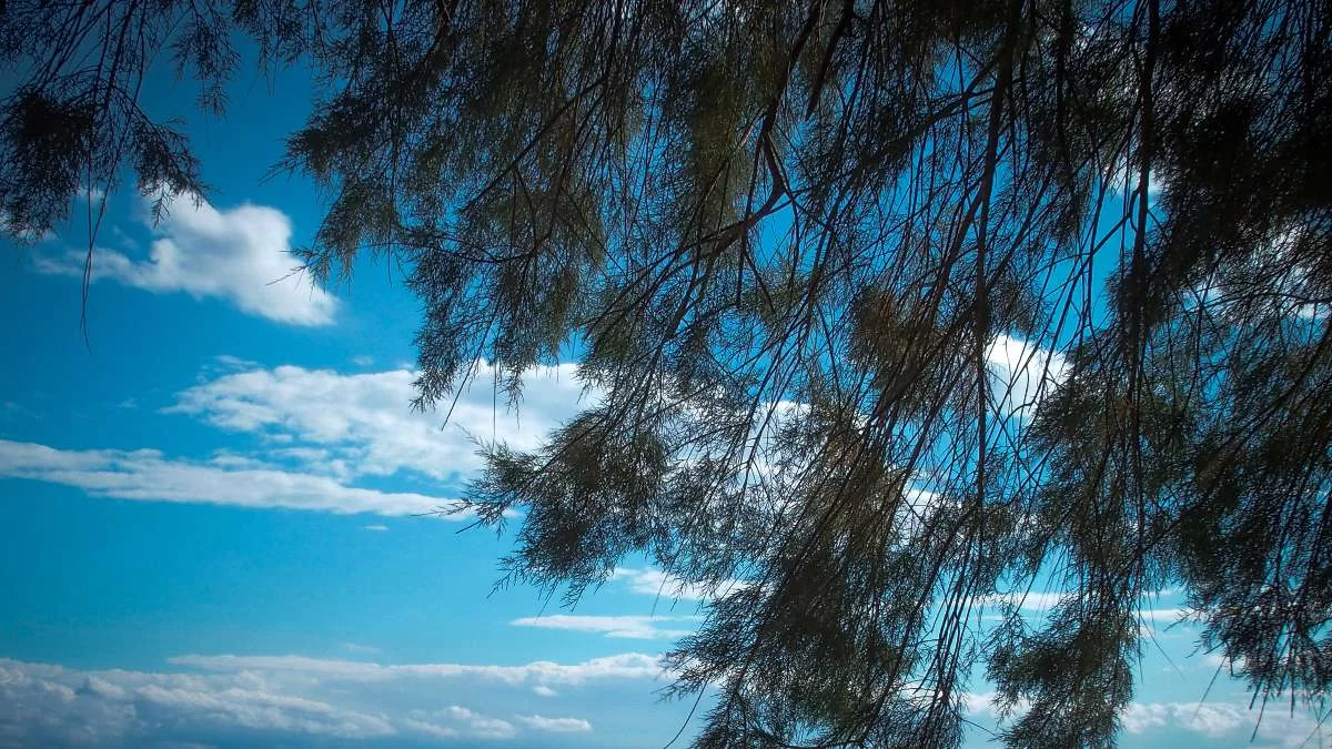 Αίθριος σήμερα 8/10 ο καιρός - Τοπικές περιοχές και μικρή άνοδος της θερμοκρασίας