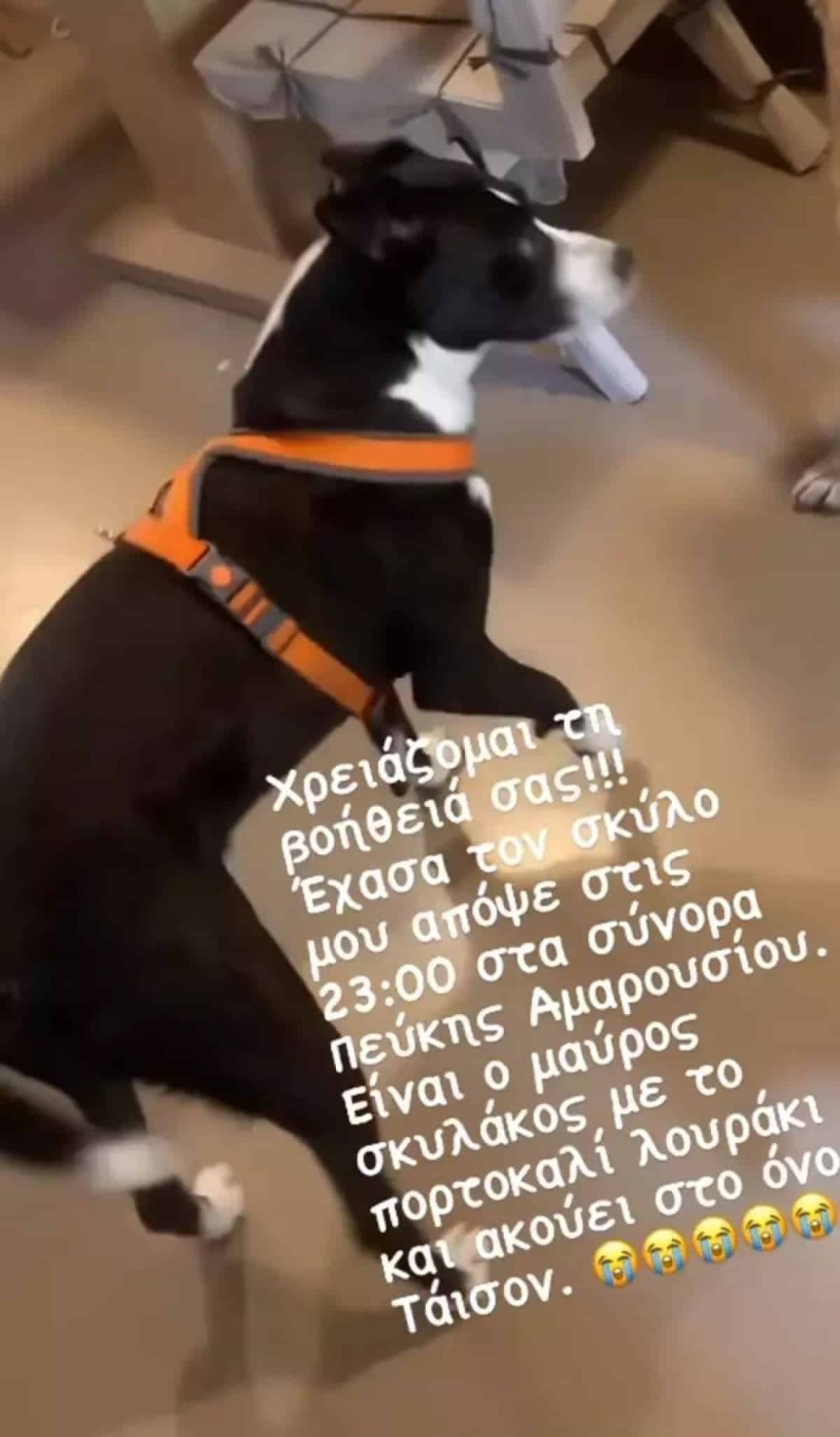 Η ανάρτηση του Βασίλη Μπισμπίκη