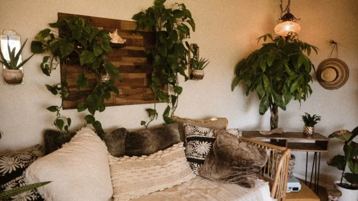 Είναι στους κανόνες του Feng Shui - Τα 3 φυτά που θα σου αλλάξουν ολοκληρωτικά τη ζωή