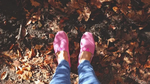 Κότσι: Ριζική λύση και μόνιμο αποτέλεσμα