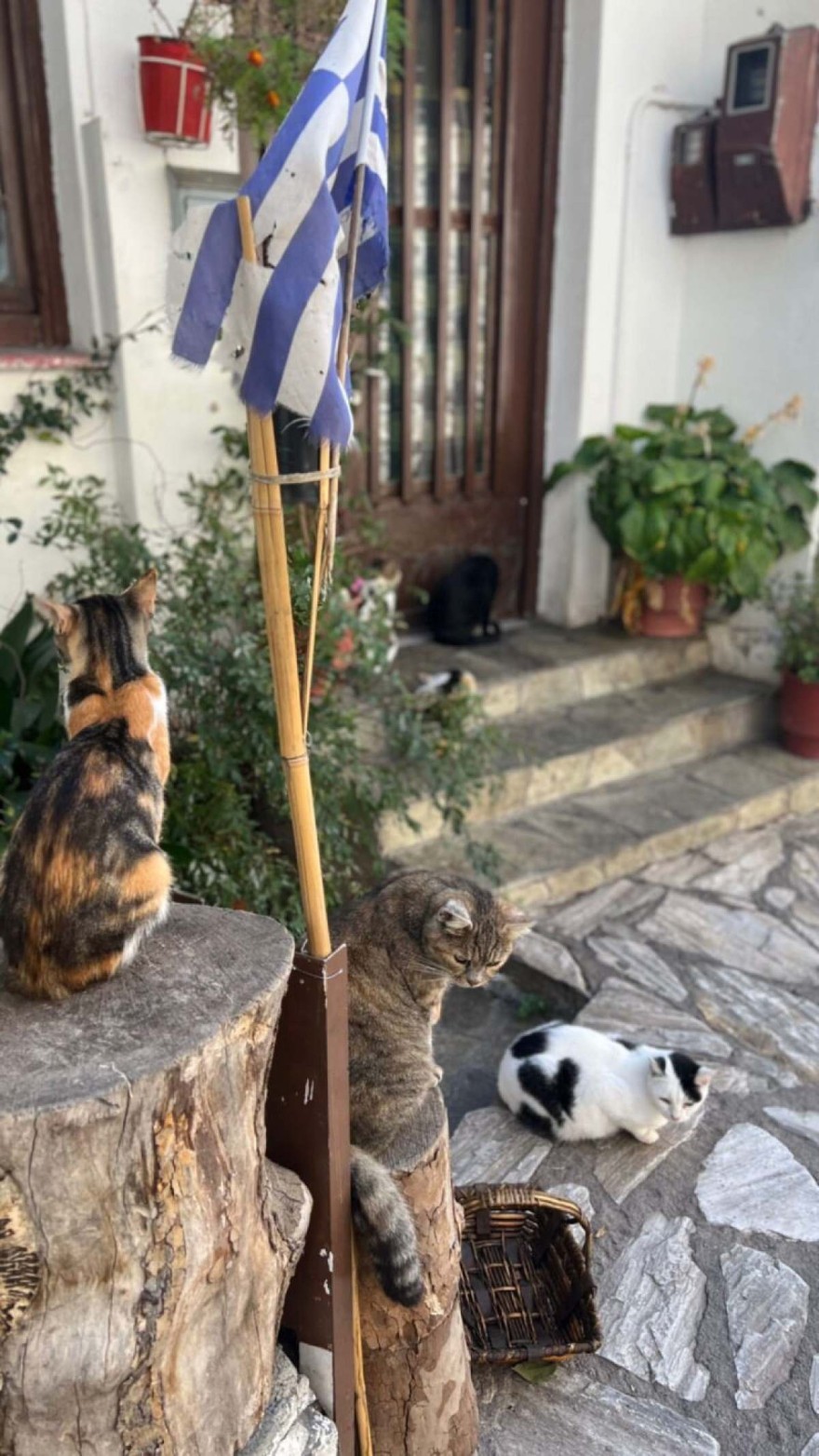 Ολιγοήμερη απόδραση για την Σίσσυ Χρηστίοδου