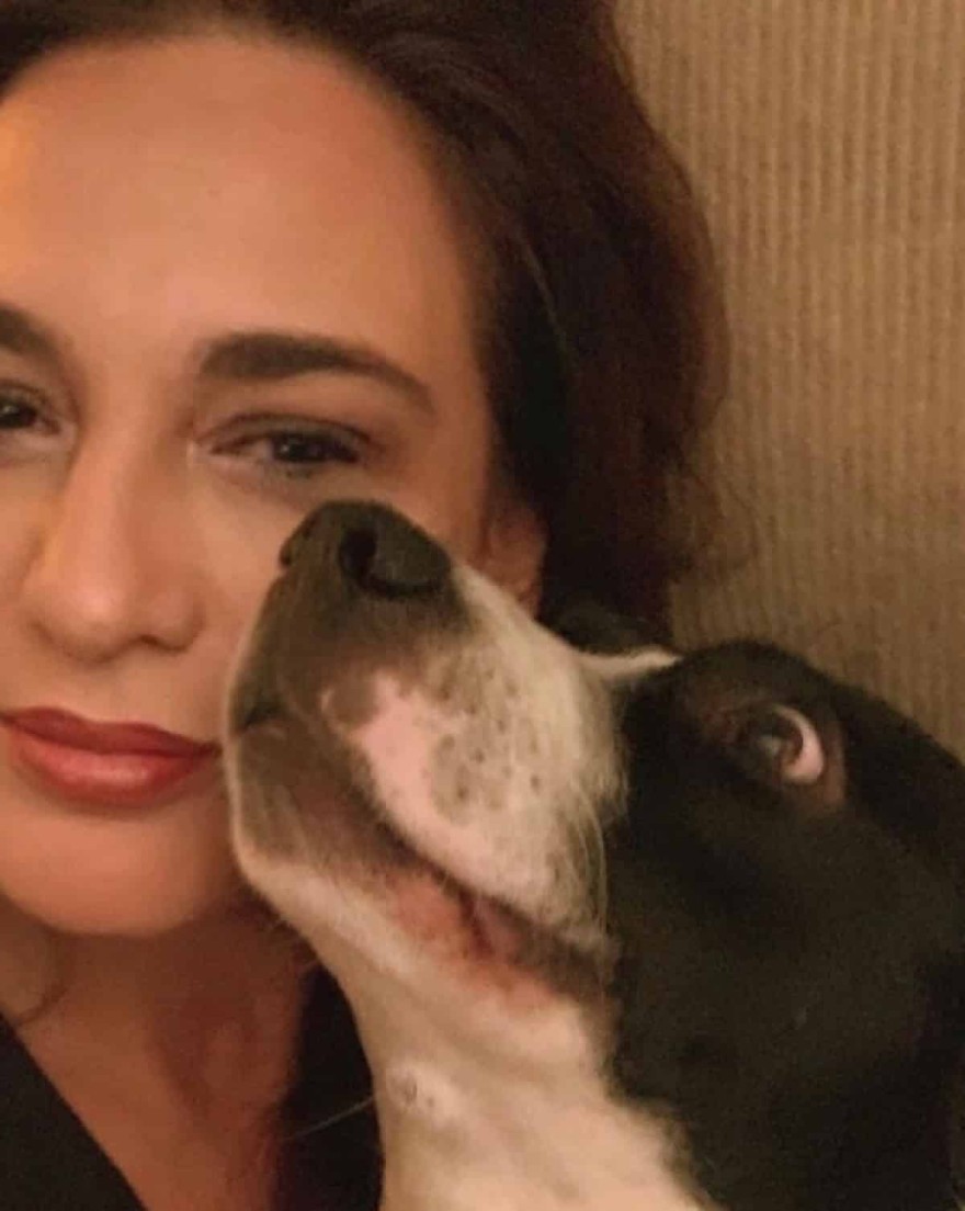 Ο σκύλος του Βασίλη Μπισμπίκη