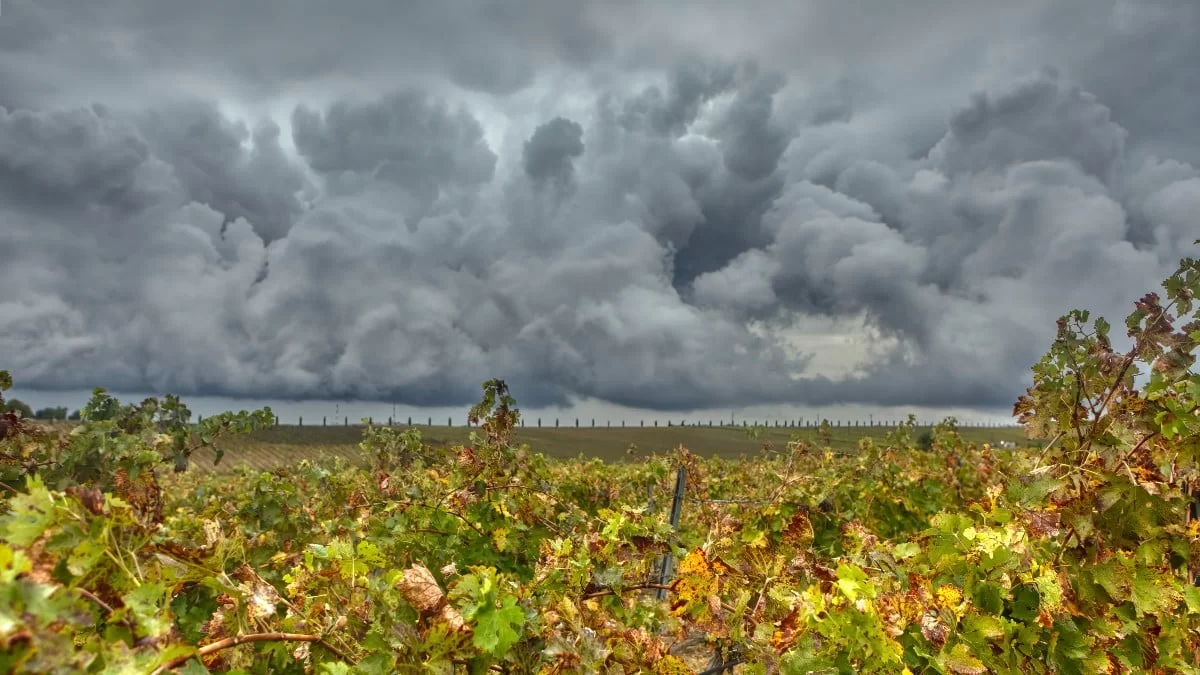 Κακοκαιρία σε όλη τη χώρα με κύρια... - Ισχυρά φαινόμενα με θυελλώδεις ανέμους και βροχές