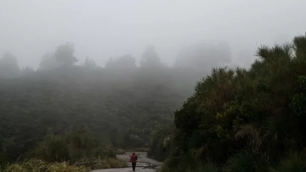 Καιρός: Καταιγίδες σήμερα 12/11 - Που θα είναι πιο έντονα τα φαινόμενα