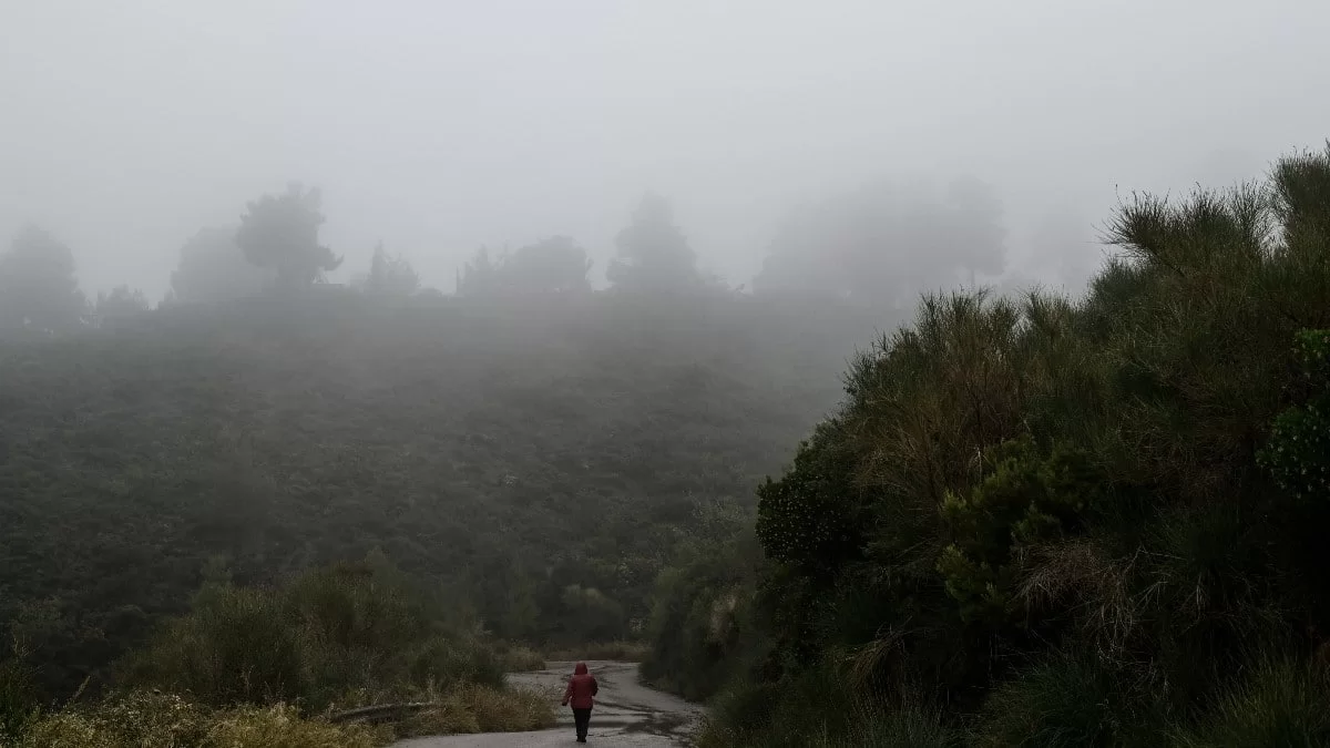 Καιρός: Καταιγίδες σήμερα 12/11 - Που θα είναι πιο έντονα τα φαινόμενα