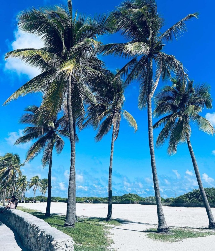 φωτογραφίες της Κατερίνας Δαλακά από την Φλόριντα