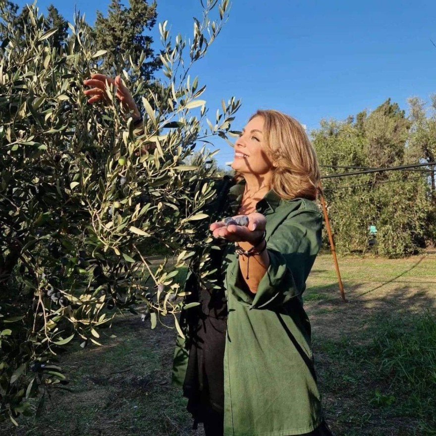 Γη της Ελιάς Άντζελα Γκερέκου