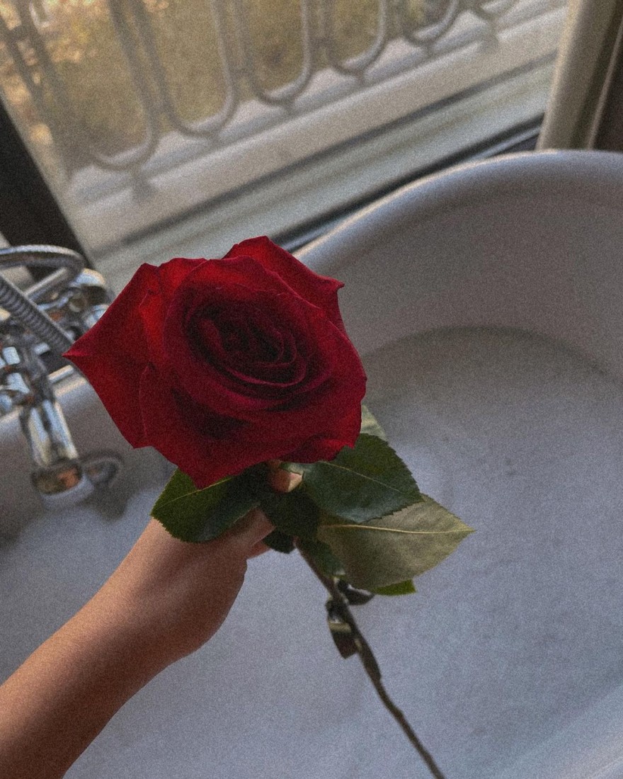 Κλέλια ταξίδι