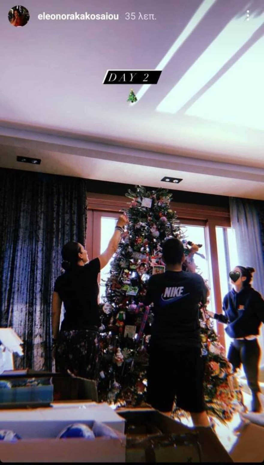 Γιάννης Πλούταρχος δέντρο