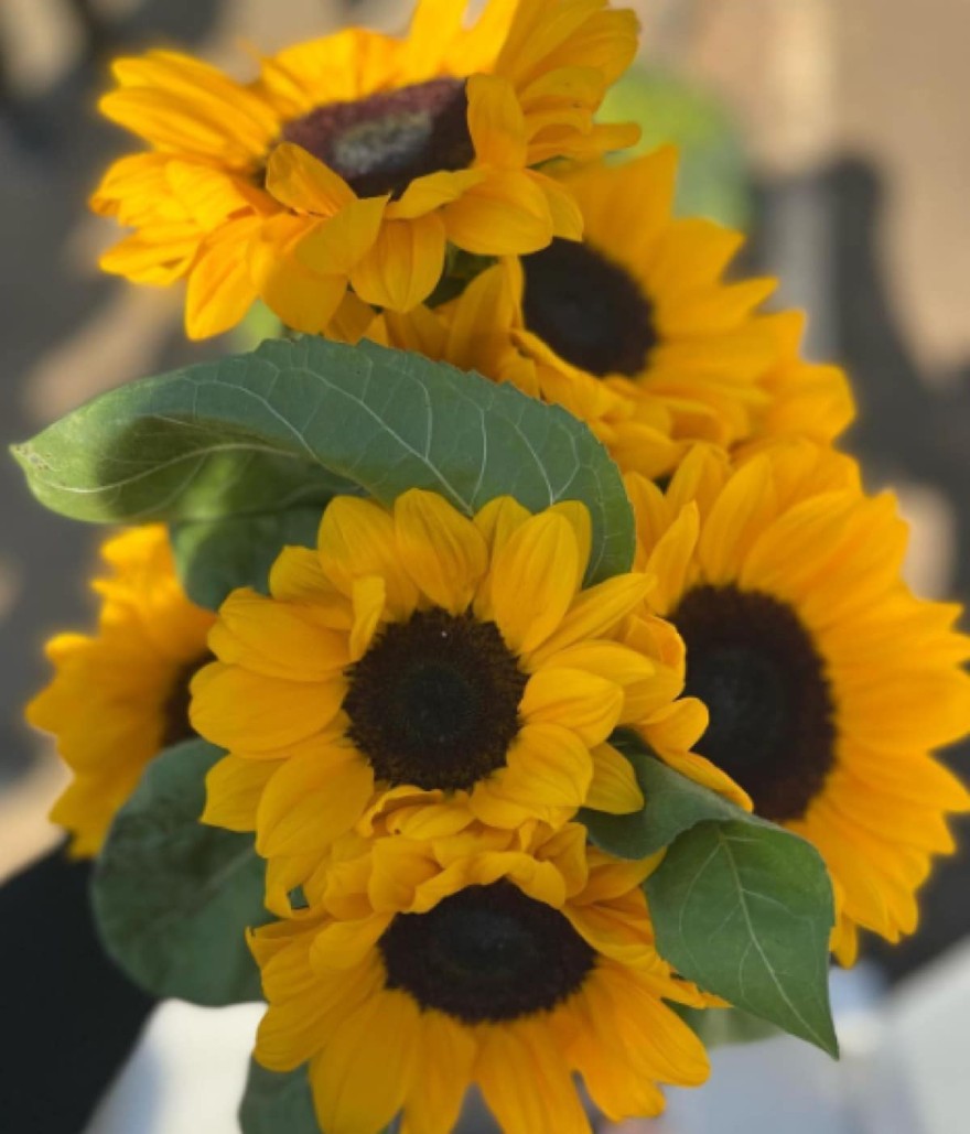 Σίσσυ Χρηστίδου ανάρτηση