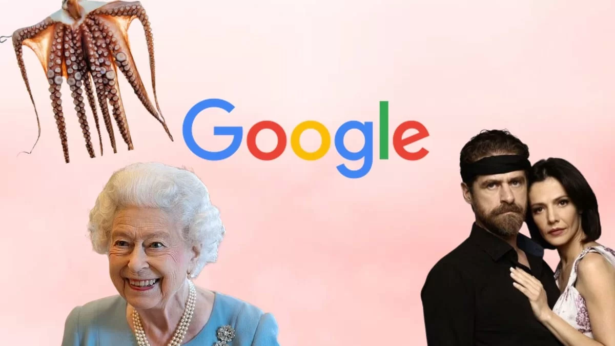 Γιατί δεν τρώω πια χταπόδια, τι είναι Nfc, Σασμός - Τα 90 κορυφαία searches των Ελλήνων φέτος στη Google