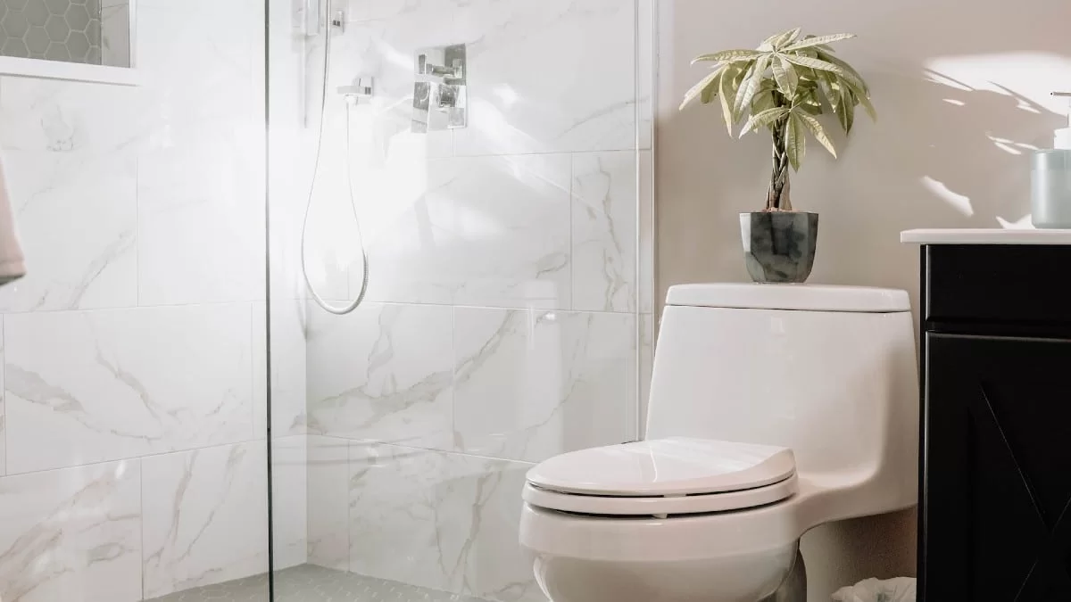 Κάνε την λεκάνη σου να αστράφτει με μυλόξυδο και... - Το απόλυτο κόλπο για ένα καθαρό μπάνιο τα Χριστούγεννα