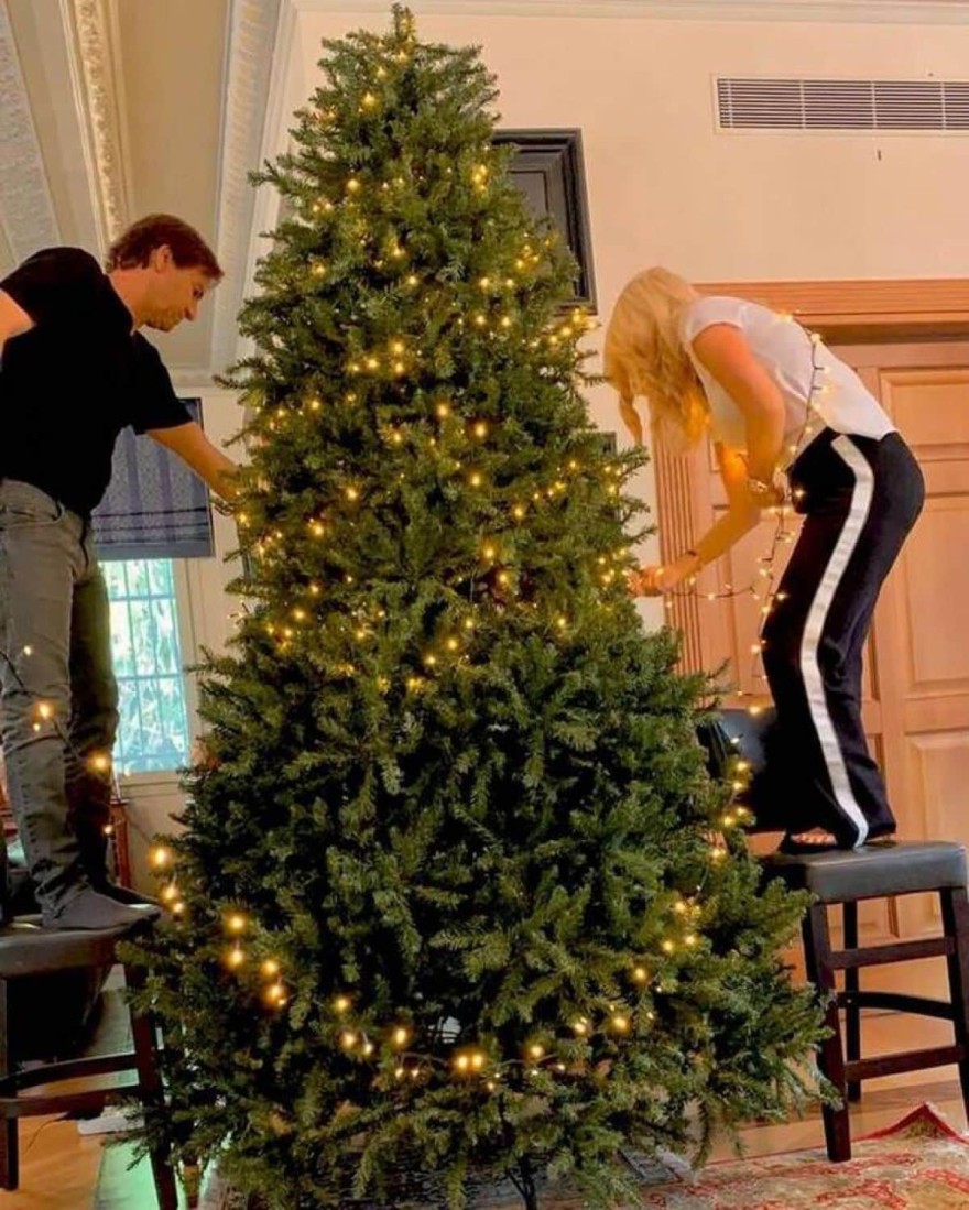 Ελένη Μενεγάκη Μάκης Παντζόπουλος δέντρο