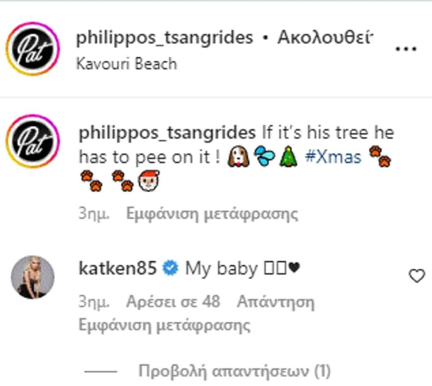 Σκυλάκι Τσαγκρίδη - σχόλιο Καινούργιου