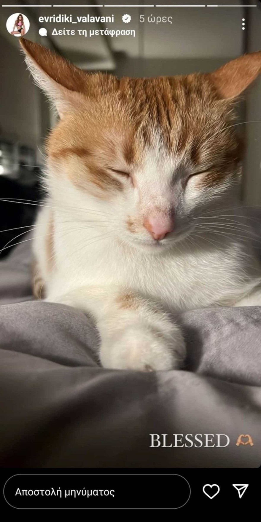 Ευρυδίκη Βαλαβάνη σπίτι