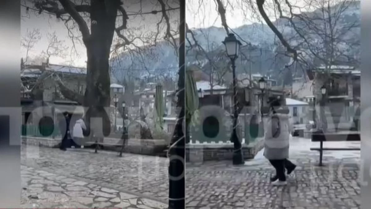 Βίντεο ντοκουμέντο από την Αράχωβα - Πως συμπεριφέρεται ο Φιντιρίκος στην Δαλάκα