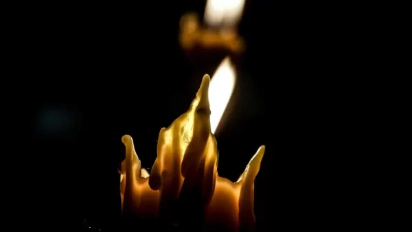 Θρήνος στον χώρο της υποκριτικής - Πέθανε η συμπρωταγωνίστρια του Ελβις Πρίσλεϊ