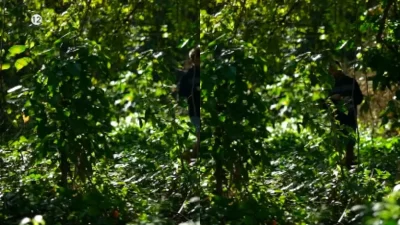 Survivor all star - αποκάλυψη ''βόμβα'': Μετά τη Δαλάκα & την Ασημίνα, ο νέος παίκτης που χάνεται στη ζούγκλα