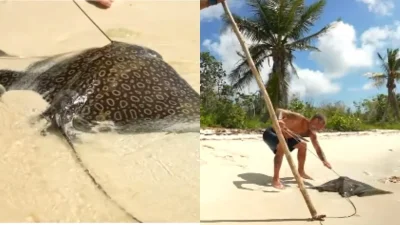 Survivor all star: «Απαράδεκτοι παίκτες και παραγωγή» - Ο κακός χαμός στο twitter με το σαλάχι που έπιασε ο Τάκης Καραγκούνιας