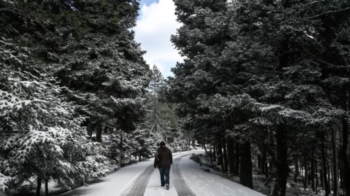 Καιρός (8/2): Παγετός! Χαμηλές θερμοκρασίες και πολλά μποφόρ - Ποιες περιοχές θα "πληγούν"