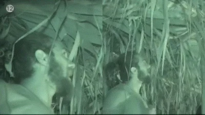 Survivor All Star: «Ποιος ψηφίζει να το φάμε;» - Ο νόστιμος "επισκέπτης" στην καλύβα των Διασήμων