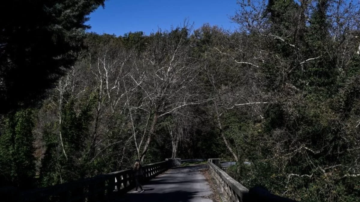 Καιρός (19/3): Γενικά αίθριος - Που θα "χτυπήσει" ο παγετός