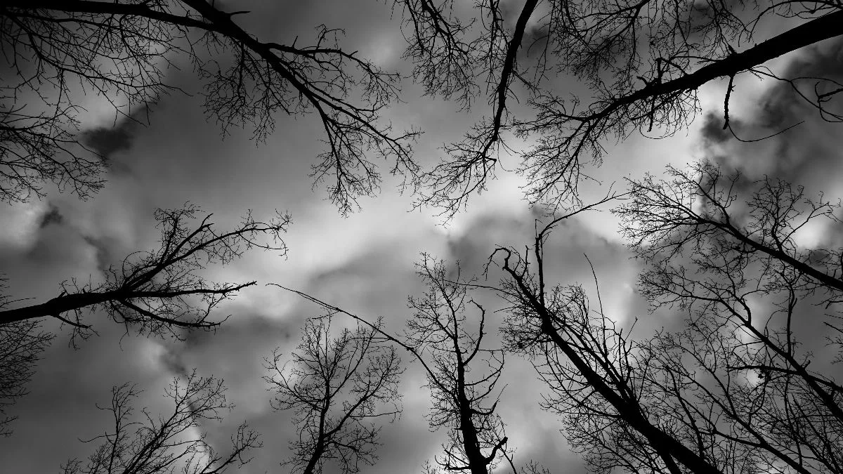 Καιρός 7/3: Χειμωνιάτικο το κλίμα σήμερα - Βροχές και πτώση της θερμοκρασίας