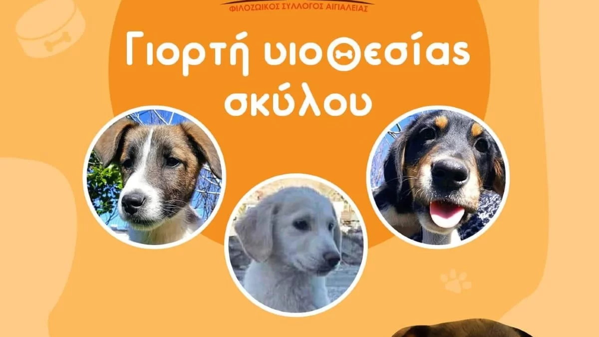 Γιορτή υιοθεσίας σκύλου: Που και πότε θα πραγματοποιηθεί