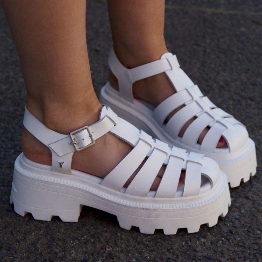 Windsor Smith favela