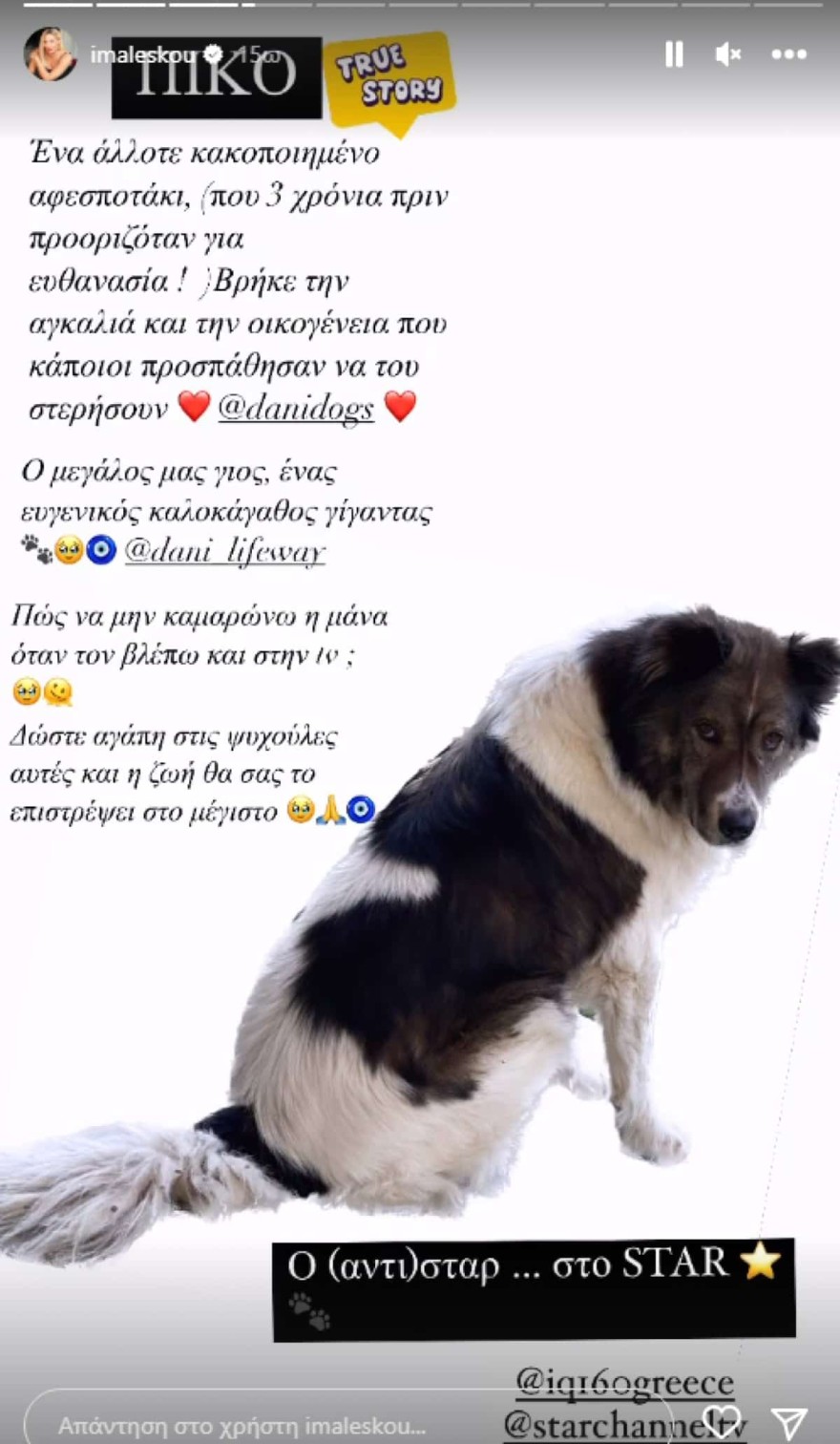 Ιωάννα Μαλέσκου