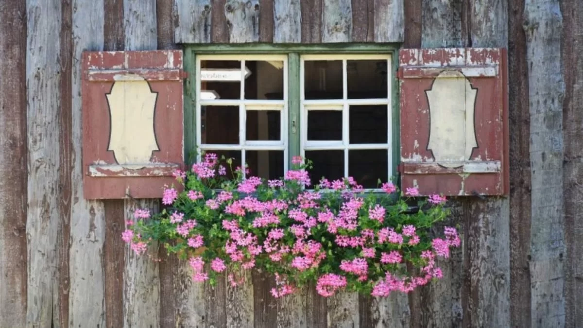 "Δρα στα τελευταία στελέχη του νωτιαίου μυελού προκαλώντας παράλυση" - Τα 2 φυτά που πρέπει να κρατήσετε μακριά από εσάς και τα παιδιά σας